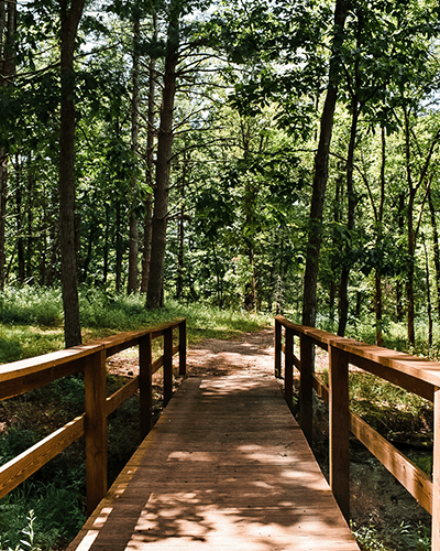 Portion of the trail with a small brown bridge entering a 3 way fork in the trail
