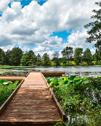A part of the trail featuring a brown dock with a scenic view of a pond