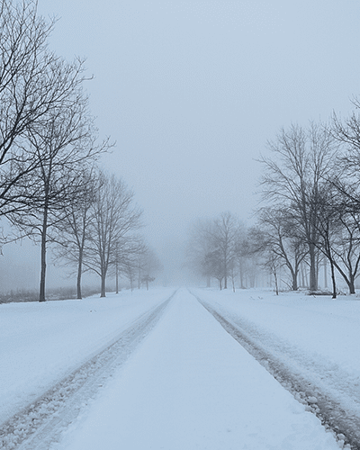 Trail in the winter covered in snow