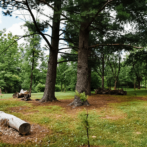 Picnic area for the trail