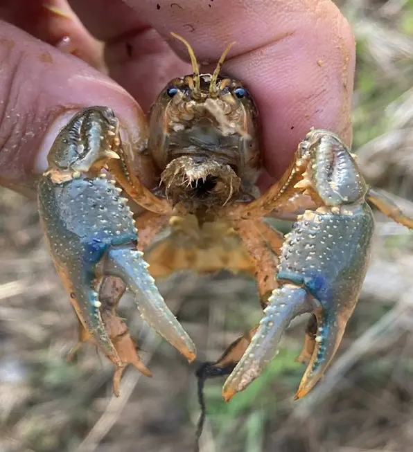 Prairie Fork Conservation Area Call For Proposal 2024 Funding