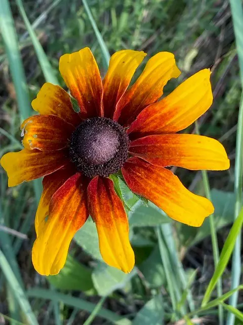 Prairie Fork News and Updates: Second Quarter 2023