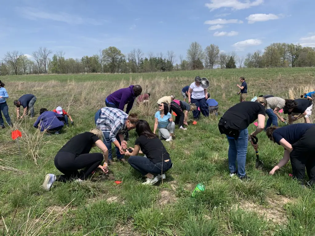 Group utilizing hands on study of the prairie's flora