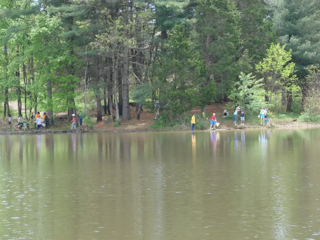Outdoor Classroom one dip netting