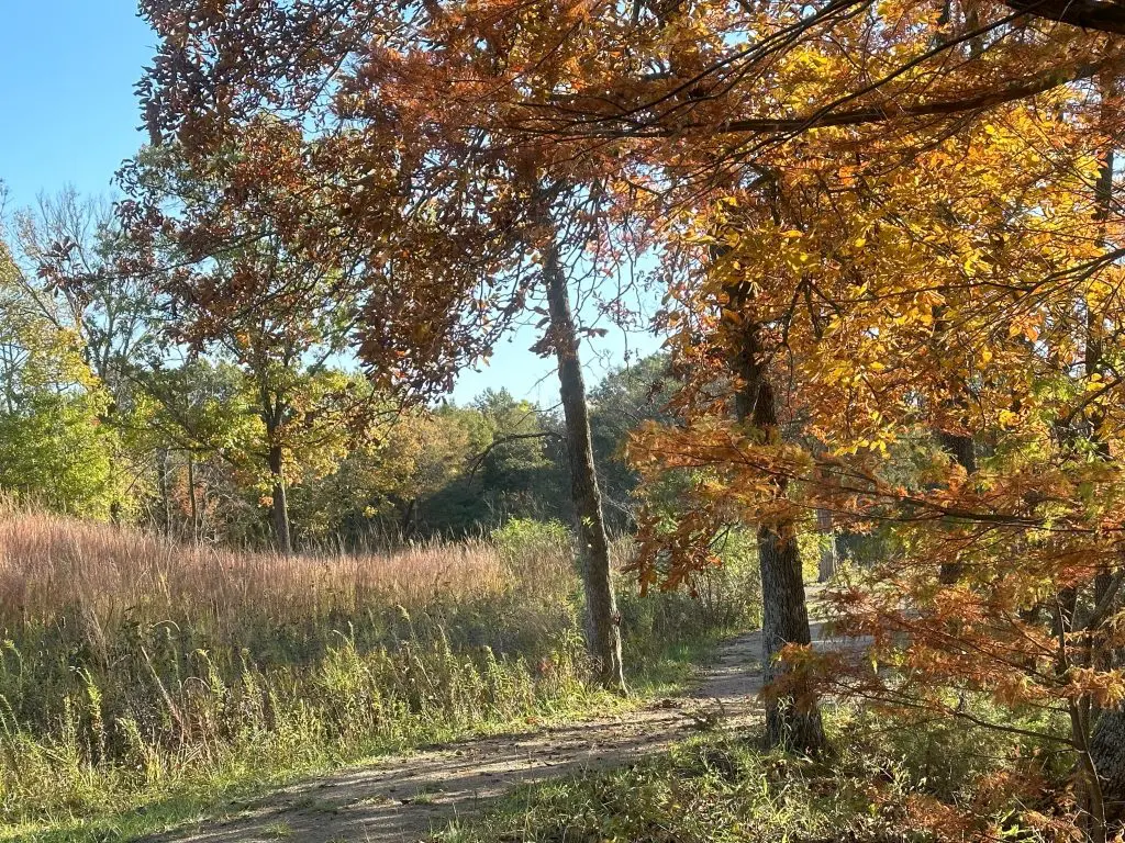 Prairie Fork News and Updates: Fourth Quarter 2023