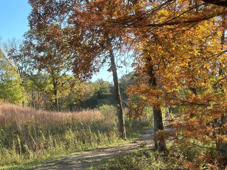 Prairie Fork News and Updates: Fourth Quarter 2023