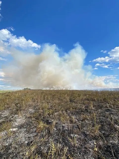 Prairie Fork News and Updates: Third Quarter 2023