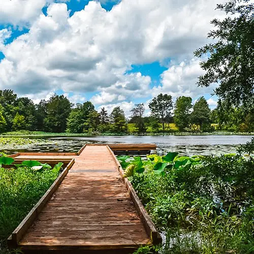 Dock at Crow Pond